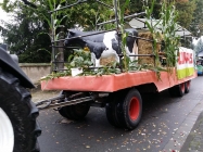 650jahre_grossthiemig_045