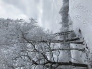 6FF77D1B-F010-42C3-9545-71913BC4B3EB