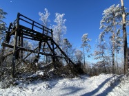 IMG_9050