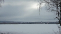 Ingolf-Timm-12022021-03