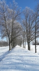 Ingolf-Timm-14022021-04