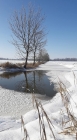 Ingolf-Timm-14022021-06