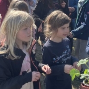 Pflanzaktion am 28.03.2022 an der Evangelischen Schraden Grundschule Großthiemig